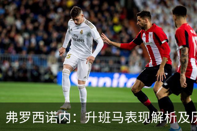 弗罗西诺内：升班马表现解析及历史比较